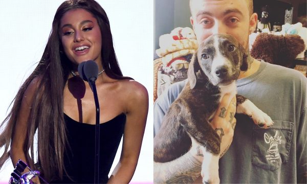 Vídeo: Após a morte de Mac Miller, Ariana Grande adota Myron, cachorro do rapper
