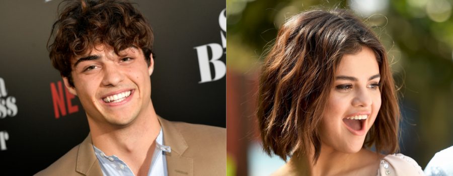 Flerte: Após assumir crush, Noah Centineo deixa comentário 