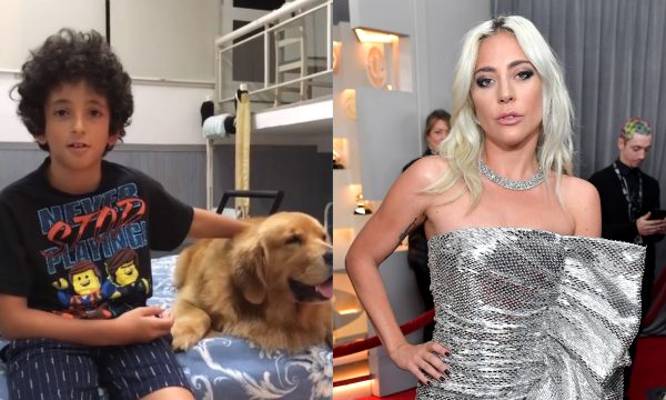 Filho de Marcos Mion, Stefano arrasa em cover de “Shallow” de Lady Gaga e ganha elogios de famosos; vem ver!
