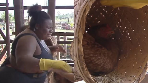 Jojo Toddynho passa mal e tem pico de pressão em A Fazenda - Eu, Rio!