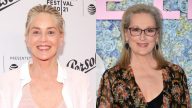 Em entrevista, Sharon Stone diz que Meryl Streep é uma atriz superestimada: "Sou uma vilã muito melhor". (Getty)