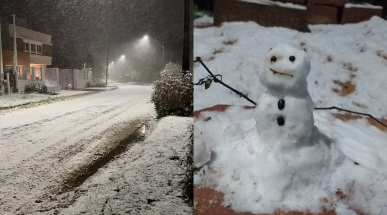 Sul do Brasil tem registro de neve em 13 cidades, e rende memes na web. (Reprodução/Twitter)