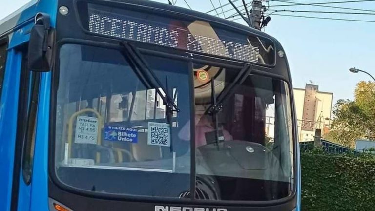 Bus