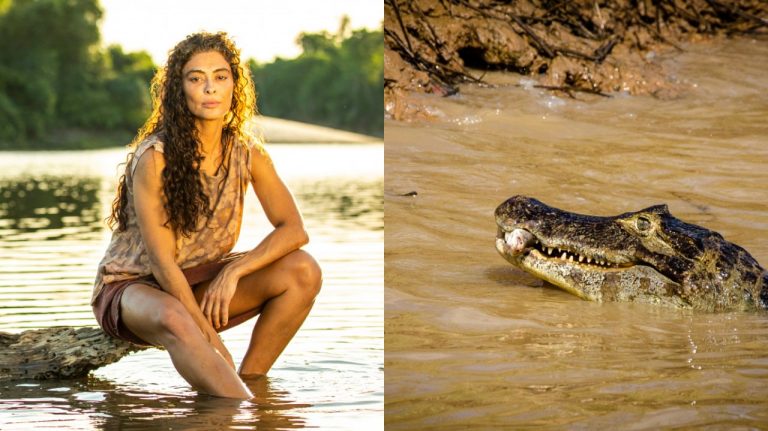 Juliana Paes Pantanal Jacare