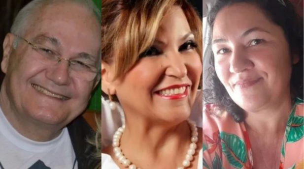 Queda de avião vitimou três pessoas. (Foto: Facebook/Reprodução)