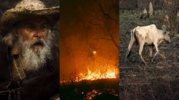 Pantanal: Cena impactante de queimada usa imagens reais e deixa público arrepiado: "De encher os olhos de lágrimas"; assista