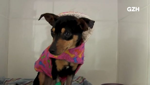 Captura De Tela 2022 09 14 230615