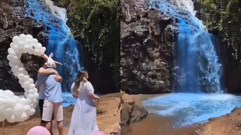 Chá Revelação Cachoeira