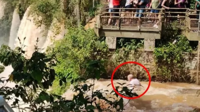 Turista canadense cai e morre nas Cataratas do Iguaçu (Foto: Reprodução)