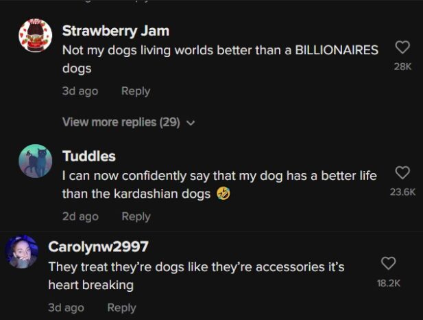 Cachorros Kim Kardashian