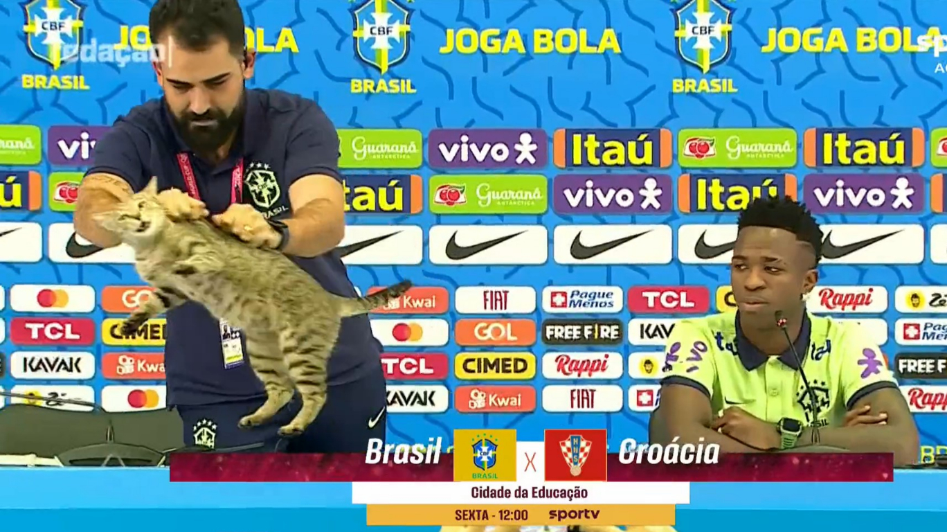 Gato viraliza após invadir entrevista de Vini Junior na seleção