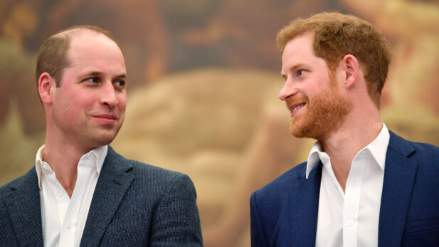 Príncipe Harry E William