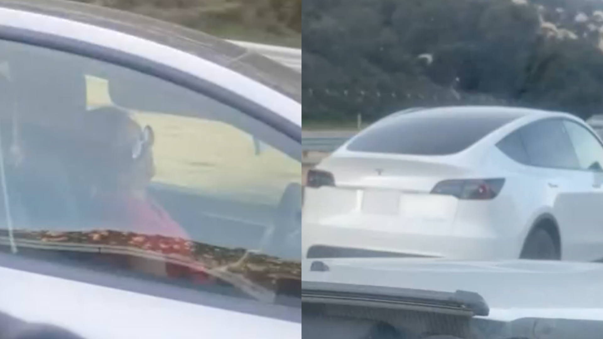 Vídeo mostra motorista de carro Tesla dormindo ao volante em rodovia movimentada nos EUA; assista