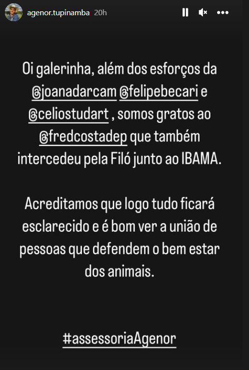 Influenciador recupera capivara Filó após ser autuado pelo Ibama