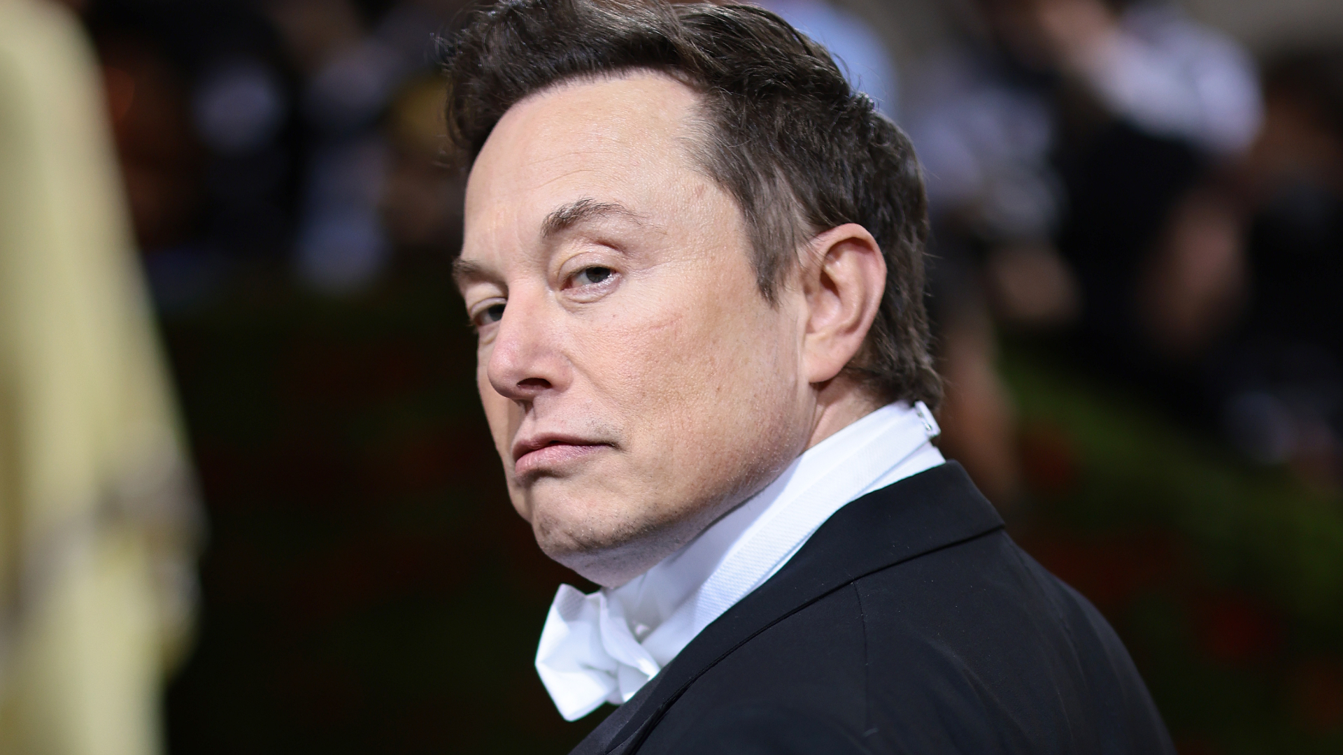 Elon Musk decide pagar para alguns famosos não perderem selo de verificado no Twitter, mas motivo é surpreendente