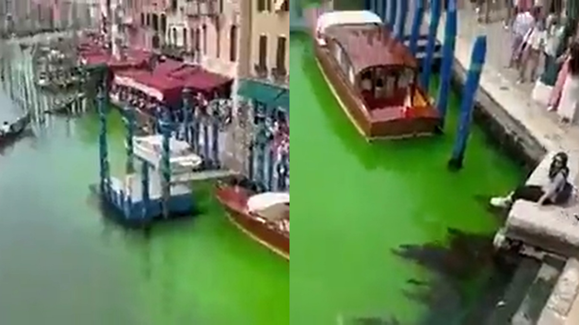 Canal de Veneza amanhece na cor verde fluorescente e prefeito convoca reunião de emergência; veja vídeo
