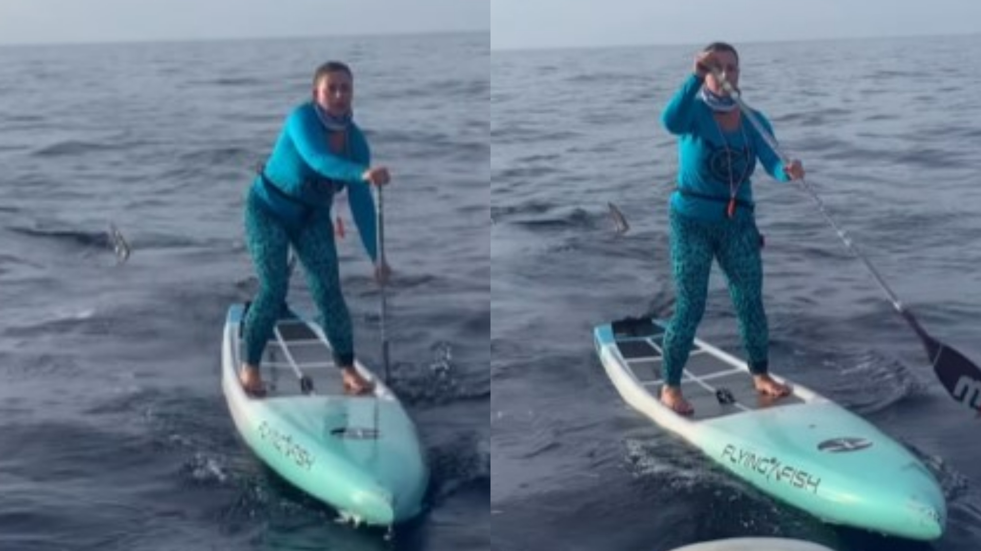 Mulher é cercada por tubarão enquanto praticava stand-up paddle, e reação surpreende; assista
