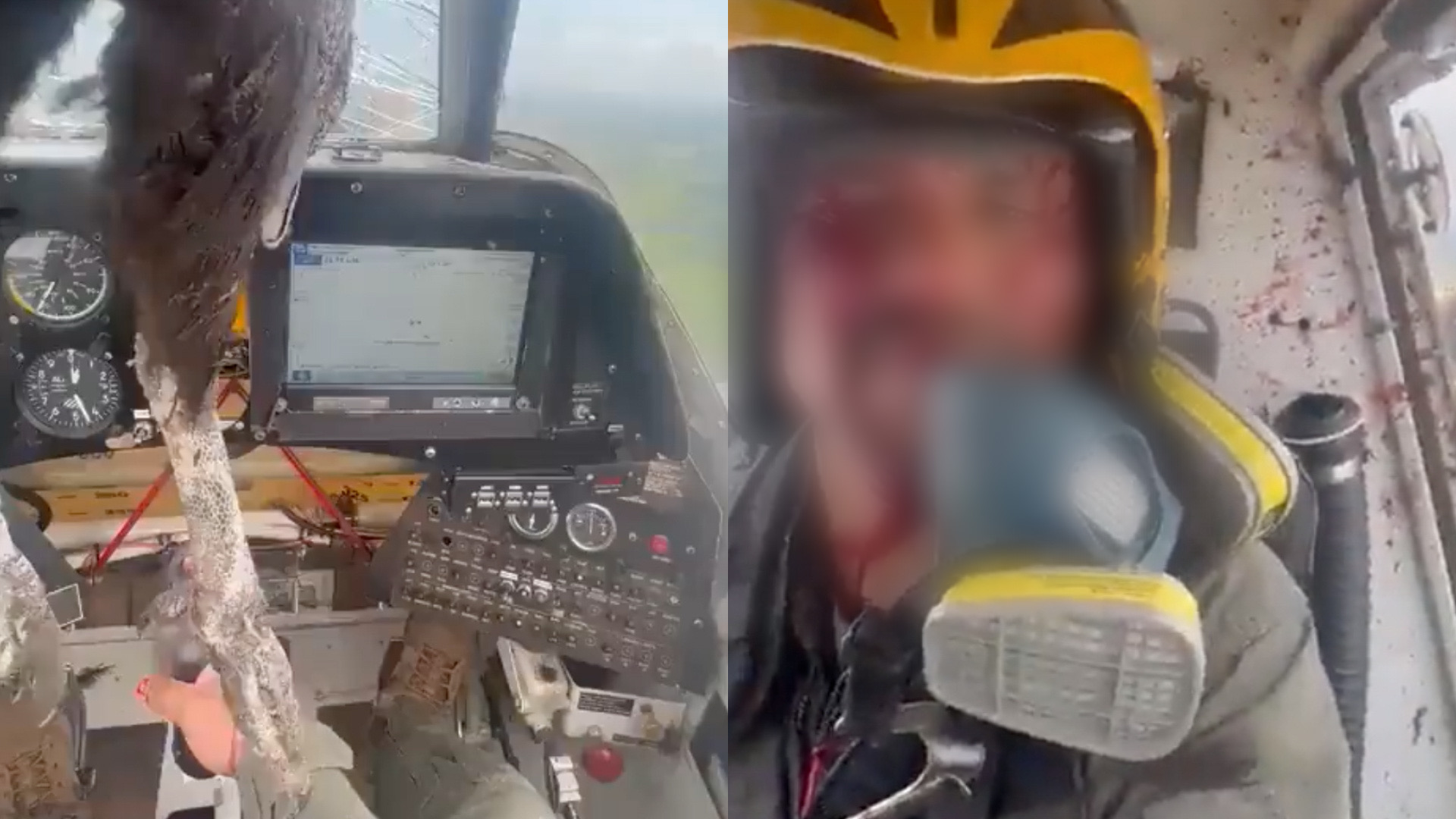 Pássaro colide com avião, quebra para-brisa e fica preso em vidro; piloto mostra vídeo chocante