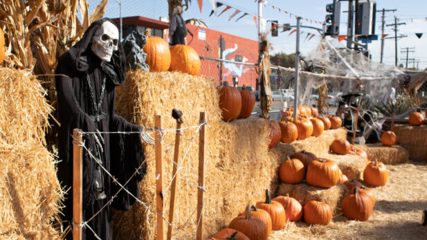 Jardineiro teria confundido cadáver de homem seminu com decoração de Halloween, nos EUA