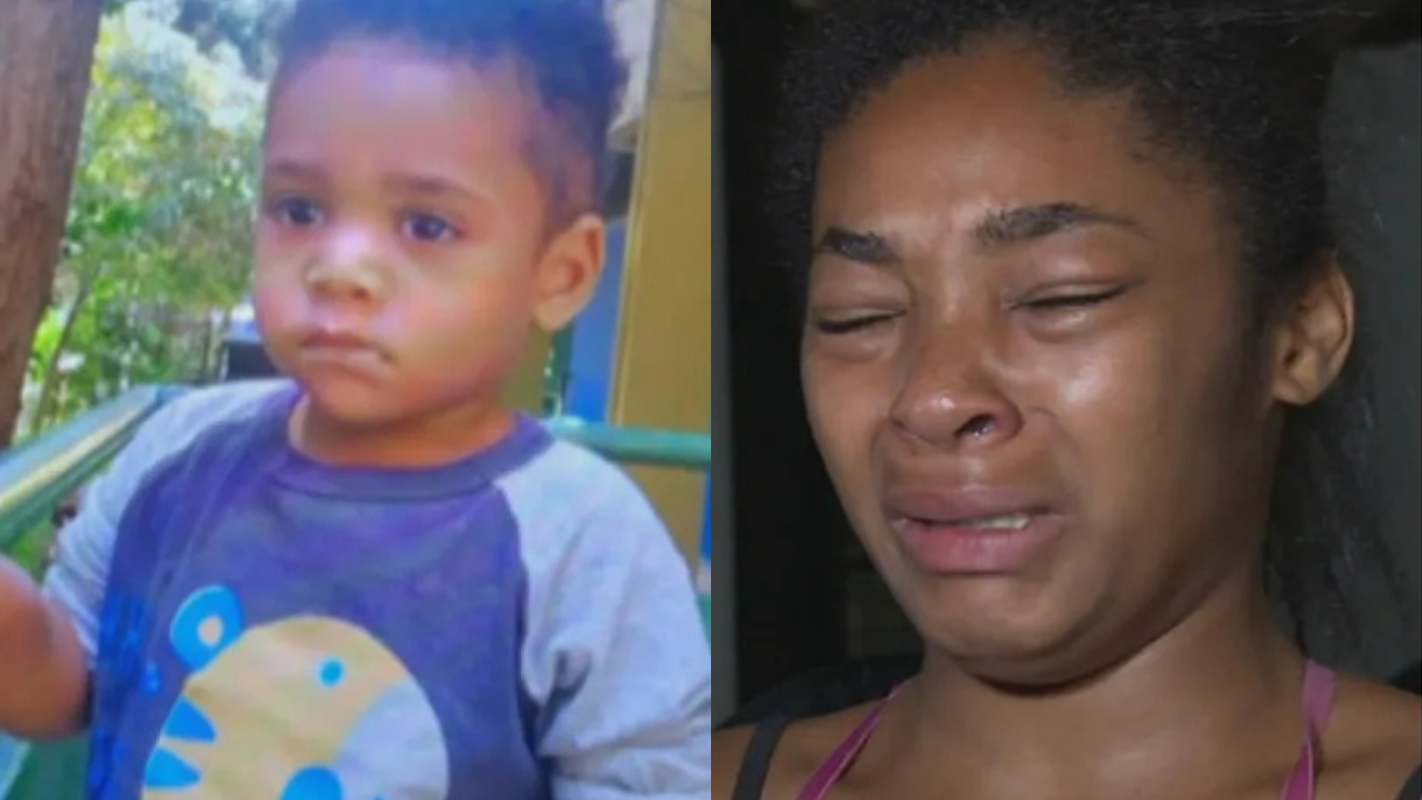 Menino de 2 anos morre após ser esquecido por funcionários em van escolar, em SP; mãe dá depoimento aos prantos: “Ele não queria ir”