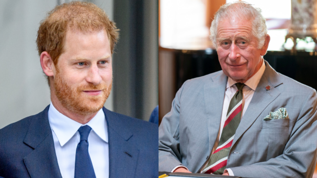 Príncipe Harry se irrita com fake news e revela que não foi convidado pro aniversário do pai, o rei Charles