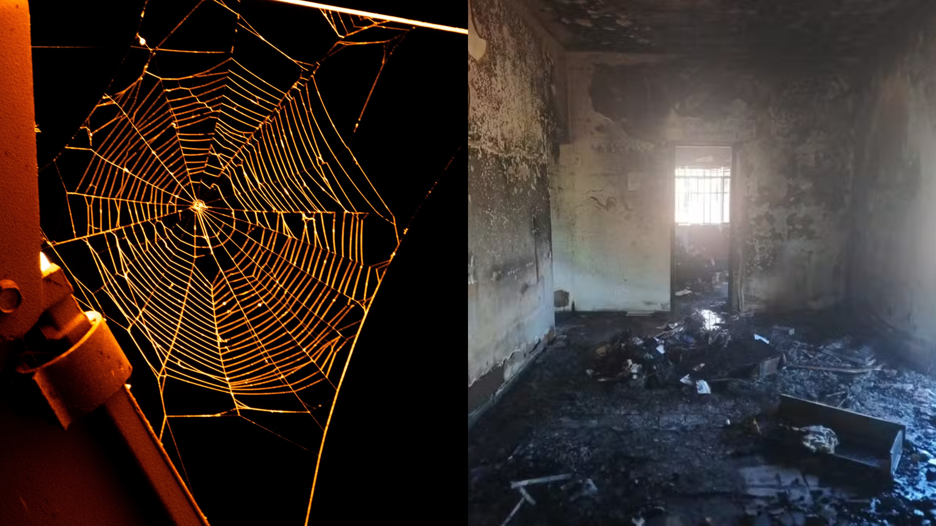 Vídeo: Homem incendeia a própria casa ao tentar eliminar aranhas com lança-chamas em MG