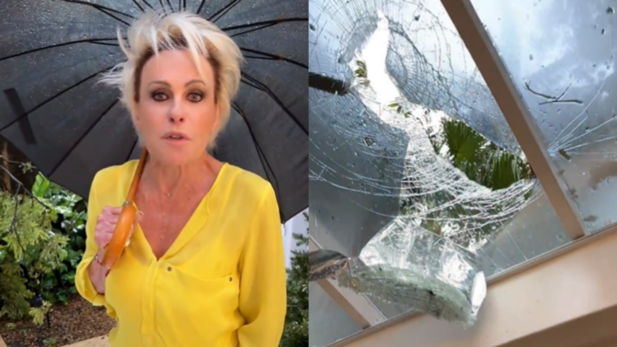 Ana Maria Braga cobra prefeitura de SP após galho de árvore quebrar telhado de mansão; órgão se manifesta