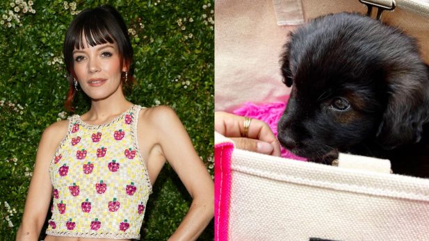 Se ha revelado el destino del cachorro que Lily Allen adoptó y trajo de regreso; el cantante habla