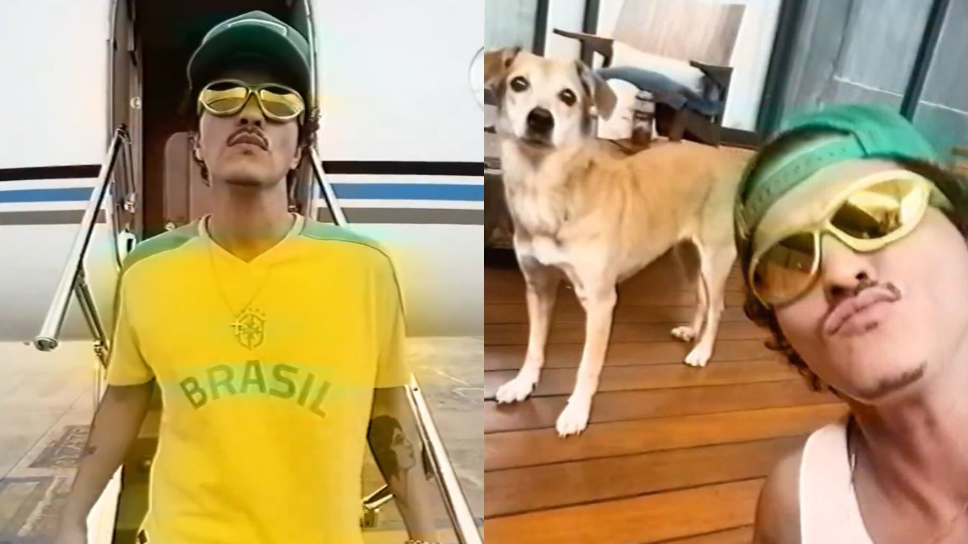 Bruno Mars: amiga de tutora revela história emocionante por trás do encontro de cachorrinha caramelo que participou de vídeo do cantor