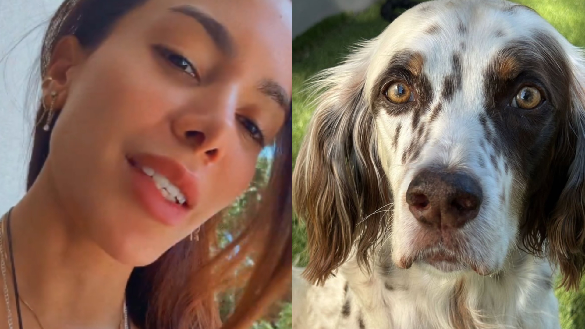 Anitta surpreende ao revelar onde e como localizou Charlie, seu cãozinho que desapareceu, e mostra momento emocionante do resgate; assista