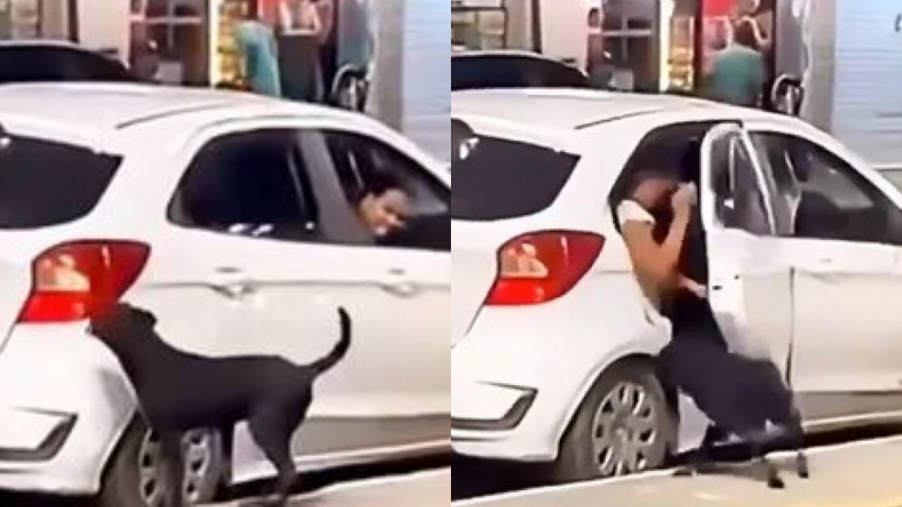 Mulheres abandonam cachorro em praça na Baixada Fluminense, são flagradas em vídeo e caso gera revolta