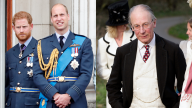 Príncipes William e Harry e lorde Robert Fellowes