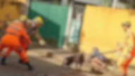 Idosa atacada por pitbull em Leopoldina (MG)