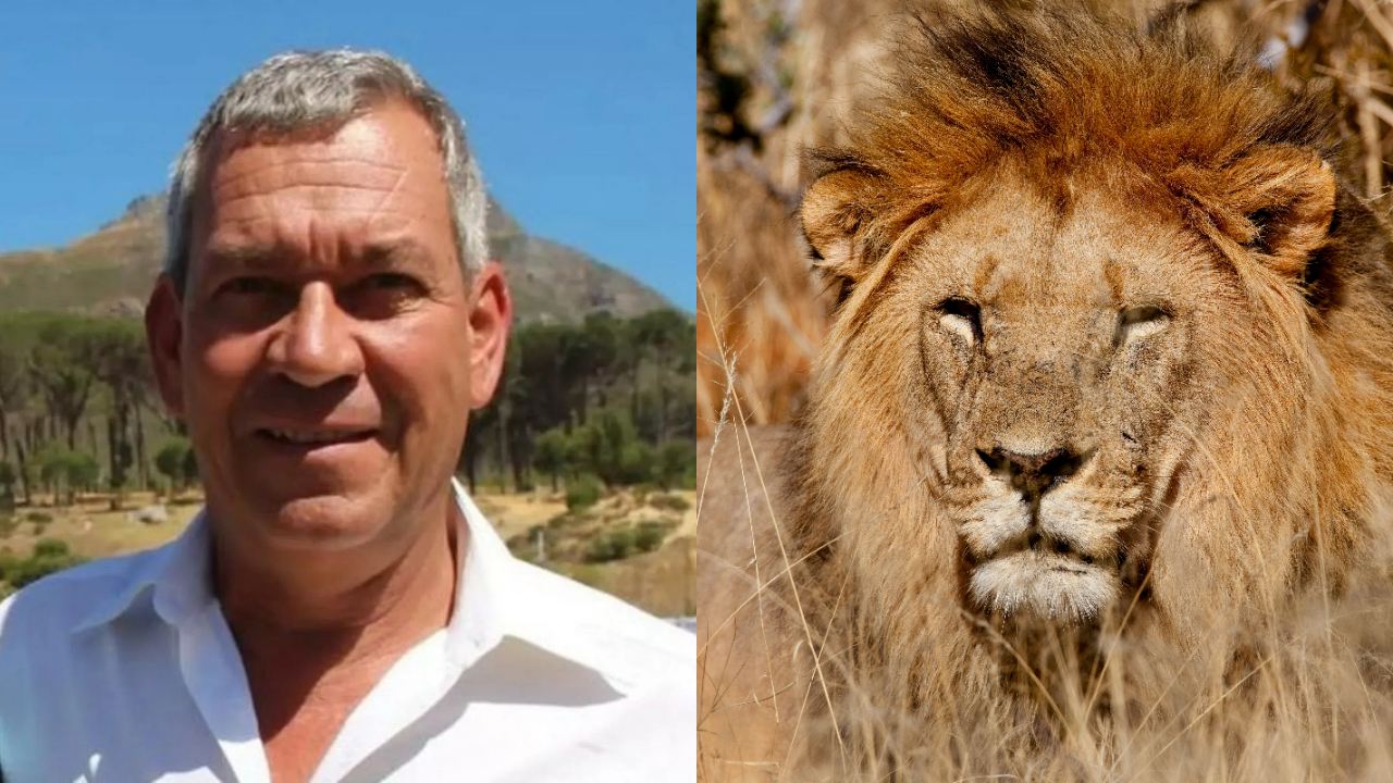 Empresário é morto por leão em safári de luxo, e amigos detalham a tragédia Empresário é morto por leão em safári de luxo, e amigos detalham a tragédia