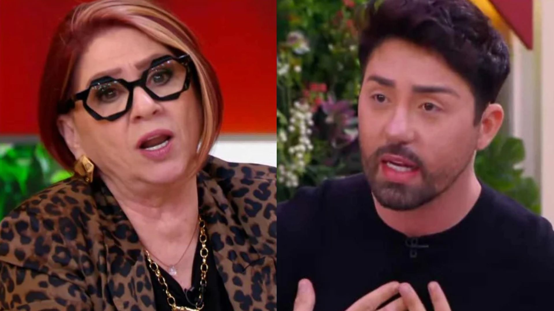 Rico Melquiades discute com participante no “Casos de Família”, produção intervém e psicóloga dá invertida afiada no influencer; assista