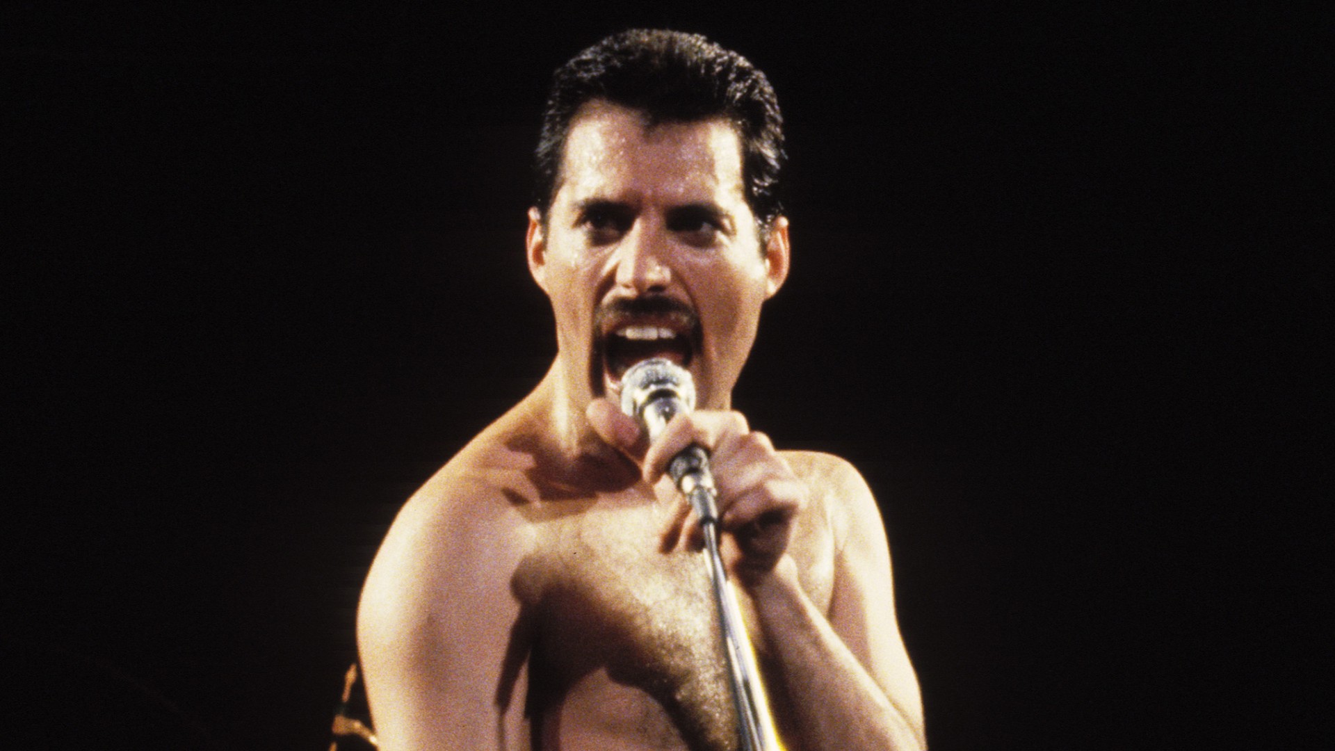 Biógrafa revela encontro com suposta filha de Freddie Mercury e detalhe que a fez ter certeza da história