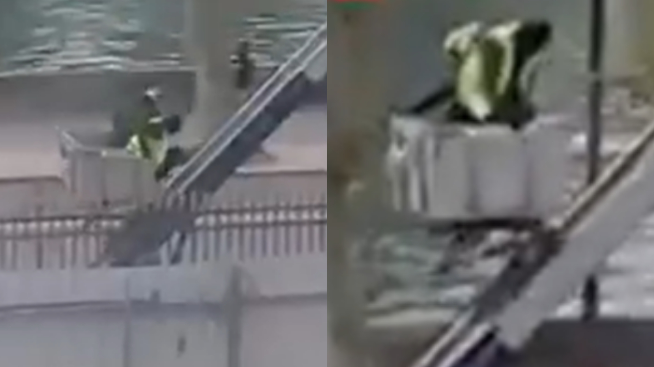 Vídeo inédito mostra como ladrões conseguiram fugir do museu do Louvre com elevador de carga Vídeo inédito mostra como ladrões conseguiram fugir do museu do Louvre com elevador de carga