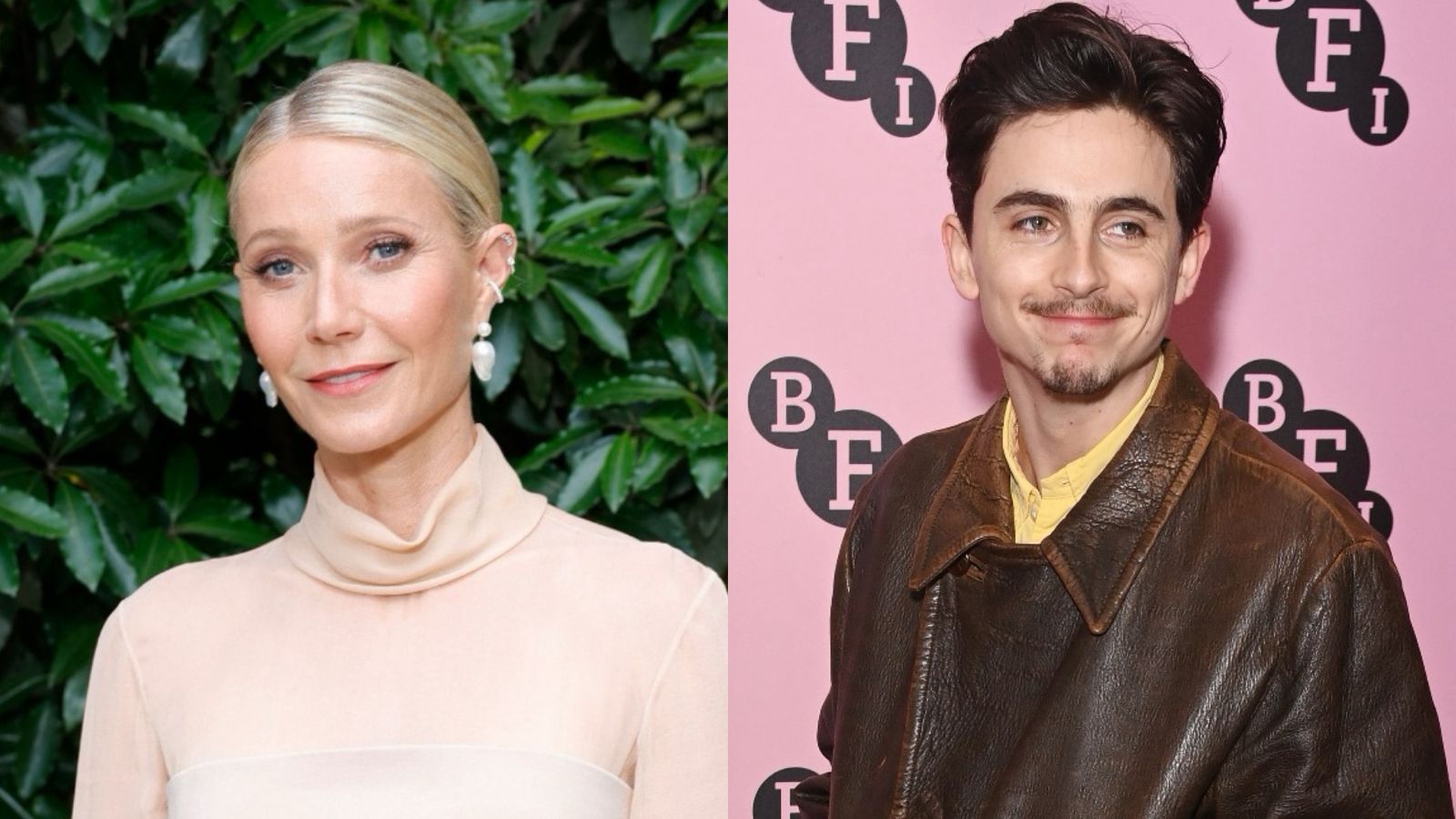 Gwyneth Paltrow confessa que não conhecia Timothée Chalamet, e revela surpresa com detalhe sobre vida do astro Gwyneth Paltrow e Timothee Chalamet / Getty
