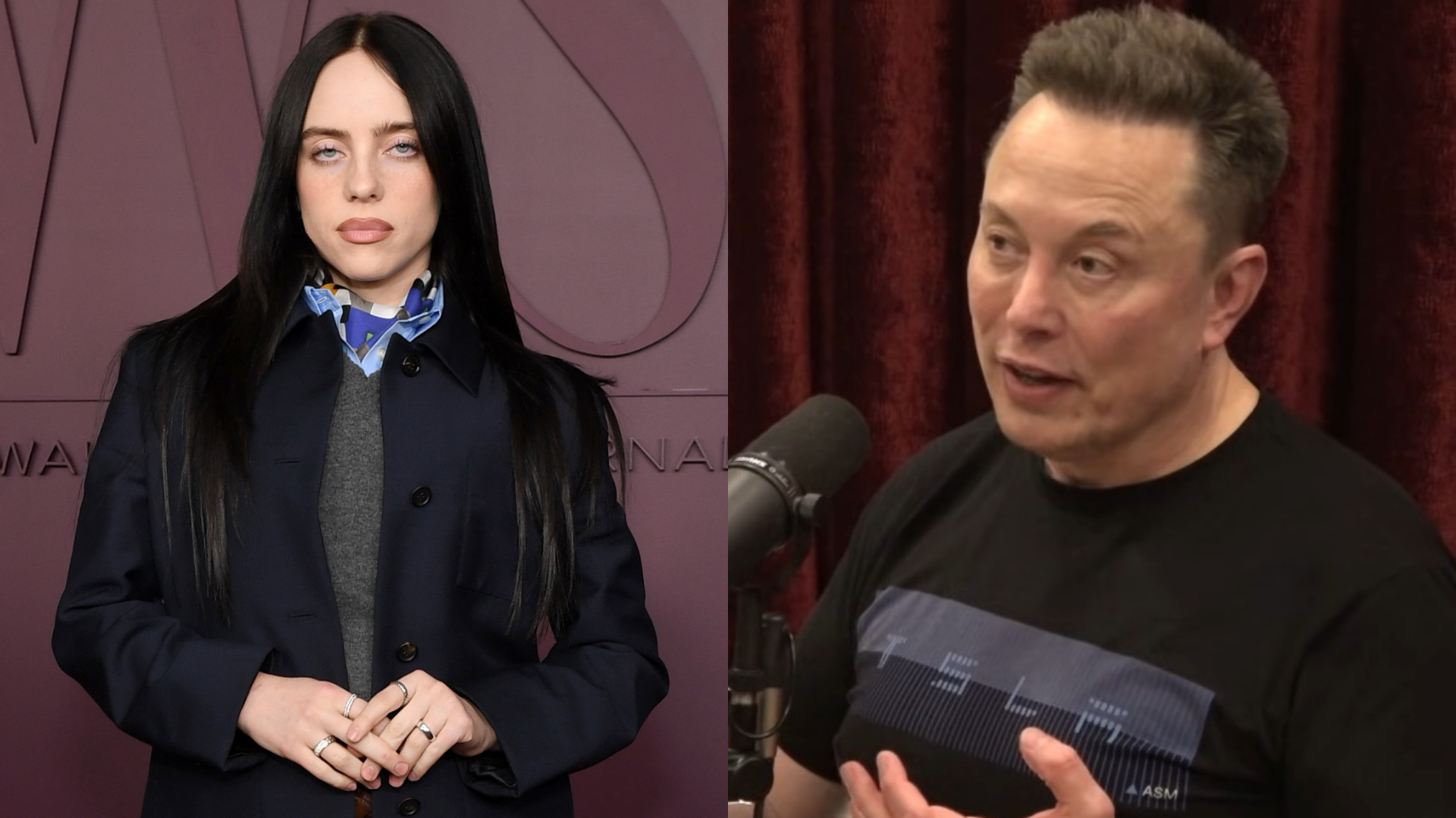 Billie Eilish detona Elon Musk após empresário ser apontado como primeiro trilionário do mundo Billie Eilish detona Elon Musk após empresário ser apontado como primeiro trilionário do mundo