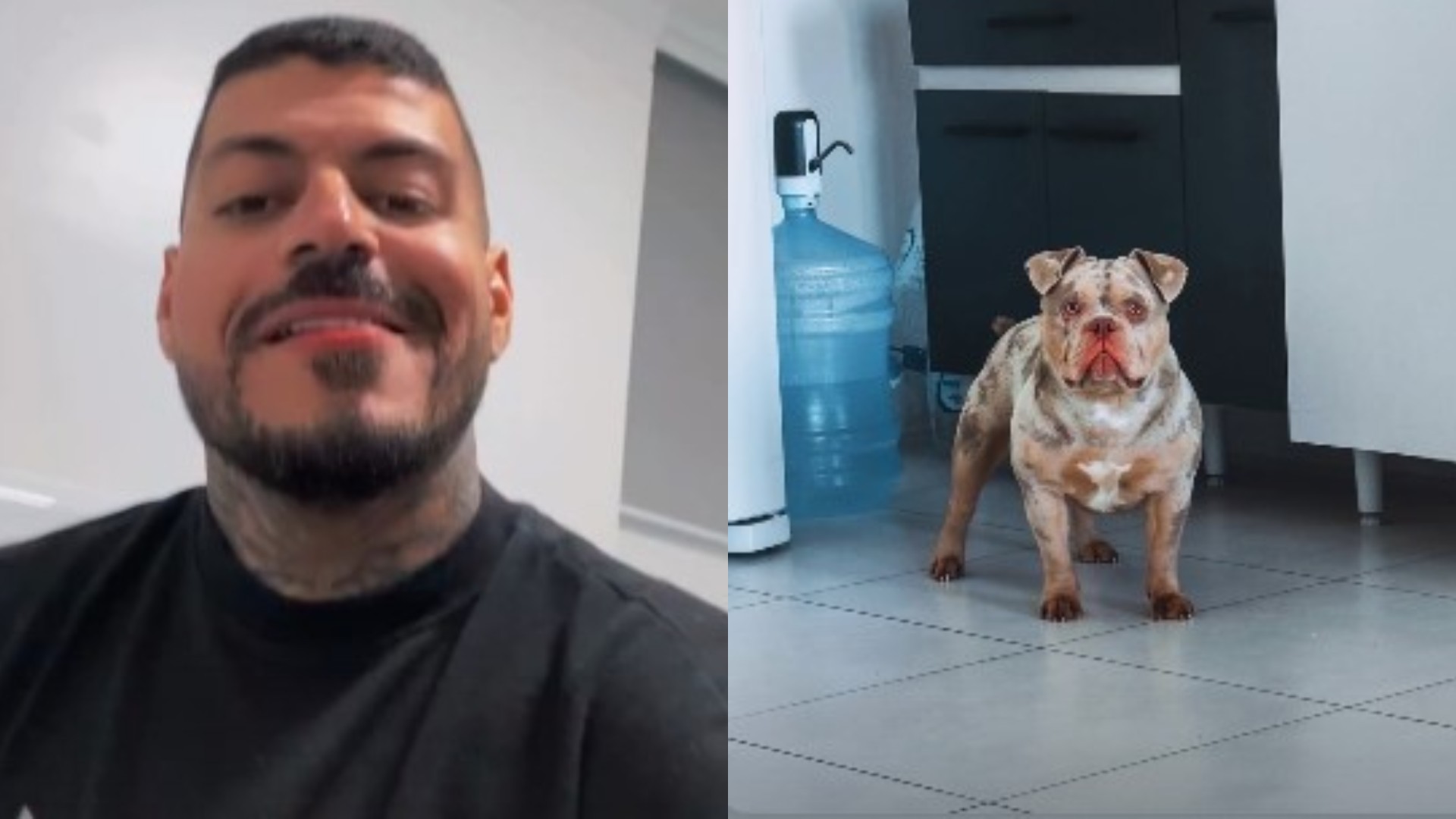 Matheus Vandré, influenciador que teve dedo comido por cachorro, mostra reencontro com o pet; assista Foto: Reprodução/Instagram