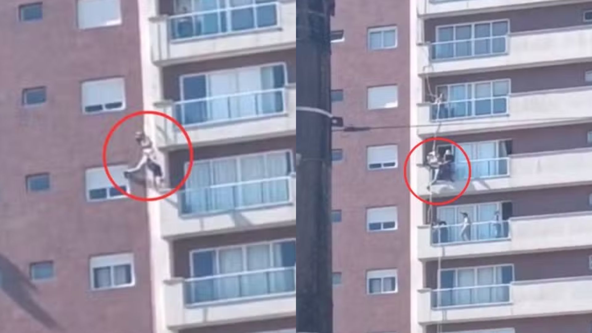 Vídeo: Trabalhador desmaia e fica pendurado por corda em fachada de prédio no litoral de SP Foto: Reprodução/g1