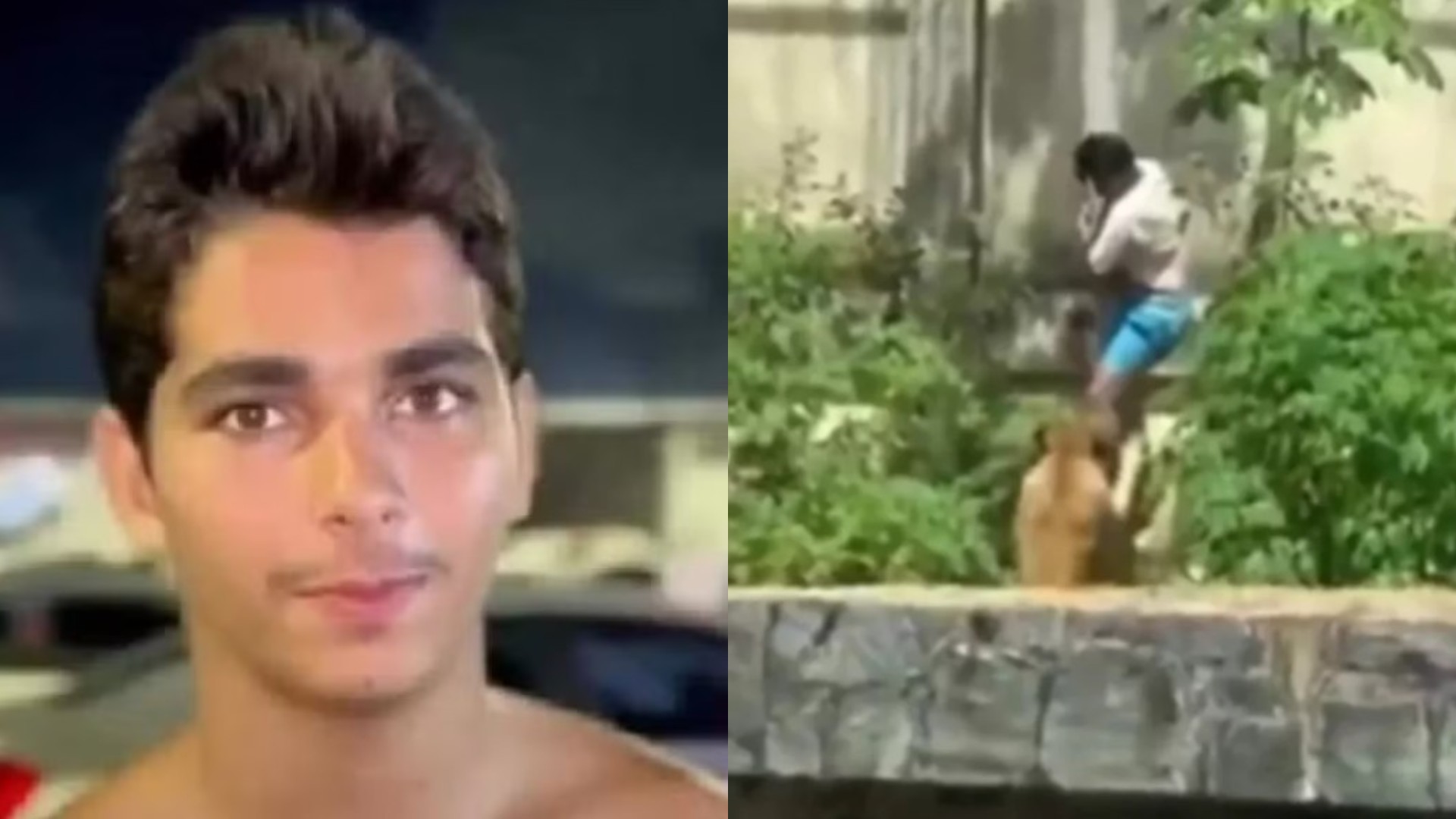 Diretor de presídio revela desejo de jovem atacado por leoa e aponta principal hipótese da morte