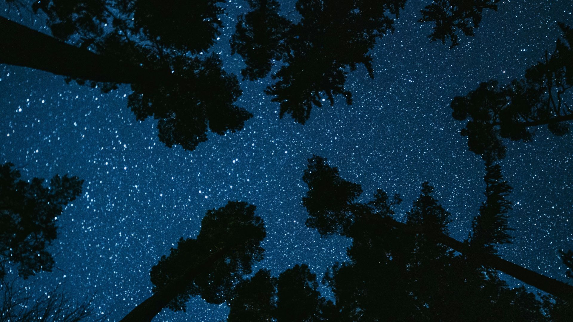 Portal 10/01: Saiba quais rituais fazer na data mais poderosa do ano para começar bem seu 2026