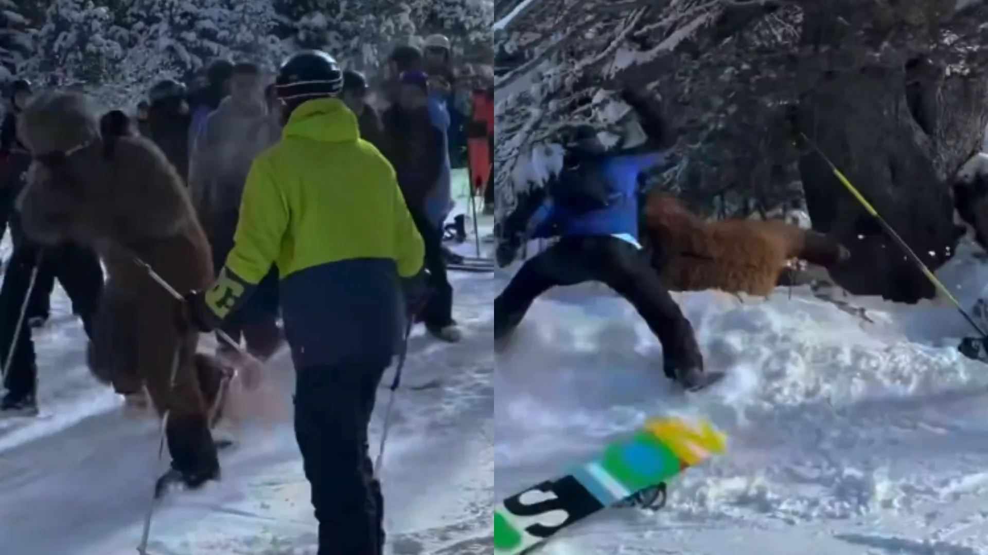 Vídeo: Fantasiado de Chewbacca, brasileiro é espancado por cinco pessoas em estação de esqui na França