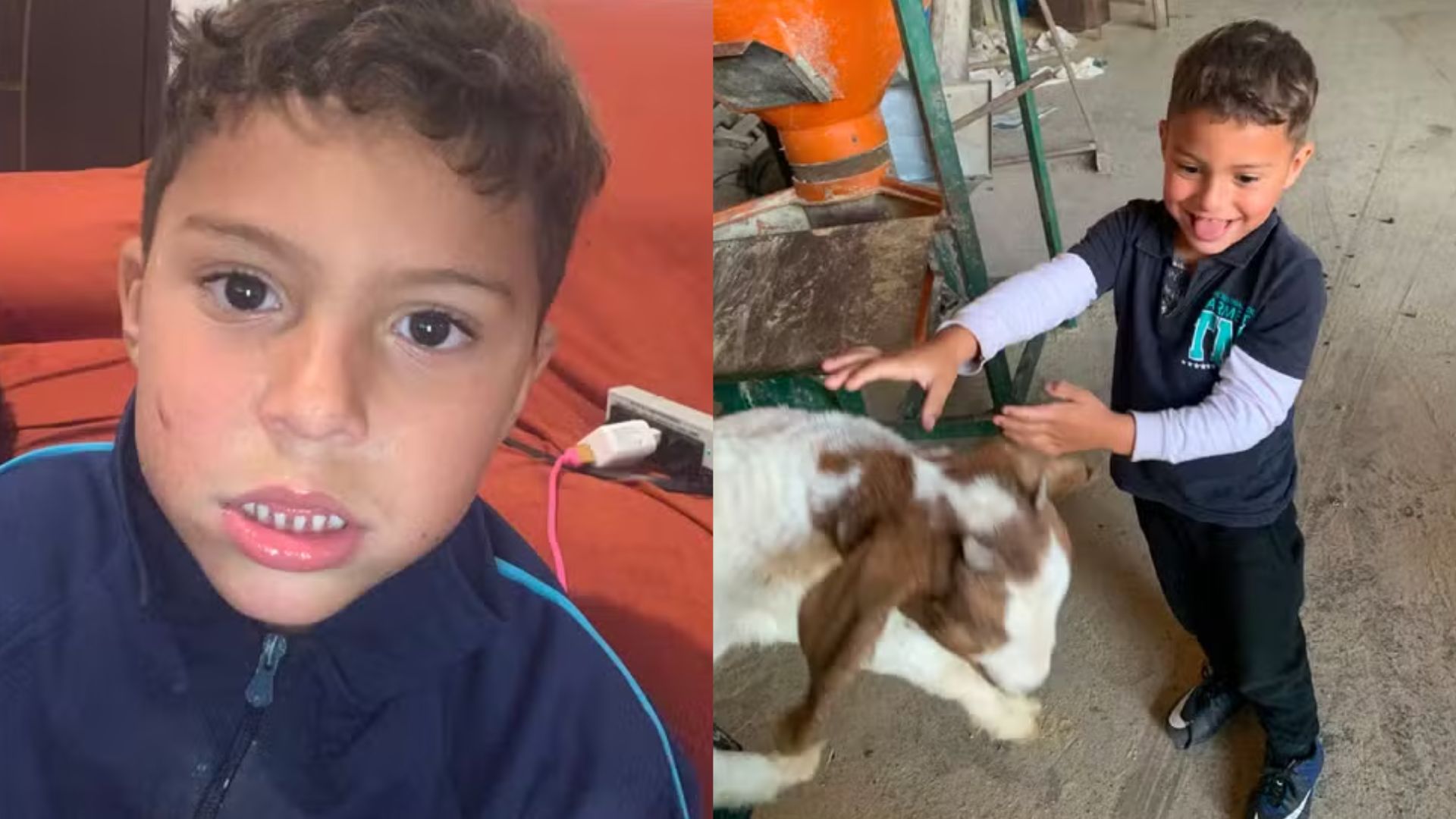Menino autista de 5 anos desaparece em área rural no Paraná; polícia detalha buscas
